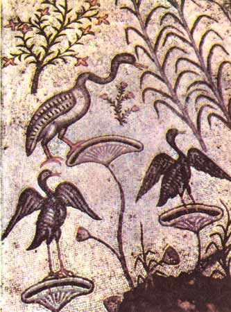 Мозаика на полу церкви Умножения хлебов и рыб в Табха. Фрагмент. V  в.